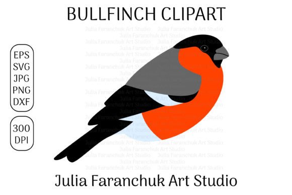 Elevate Designs with Bullfinch Clipart